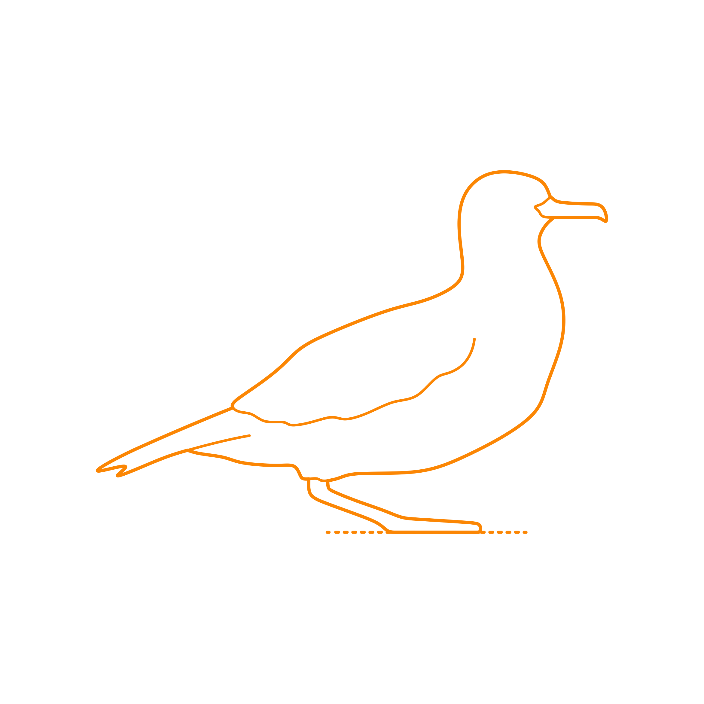 Animals Seabirds Sooty Shearwater Contour Svg Vector Free Vectors